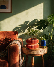 Accordion Waist Planter – on a side table at golden hour