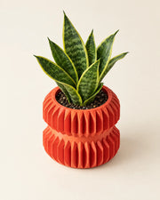 Accordion Waist Planter – styled in use