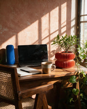 Accordion Waist Planter – on a work desk in morning sun