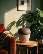 Acorn Stash Jar – on a side table at golden hour