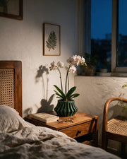 Angular Fin Orchid Planter – at night on a bedside table