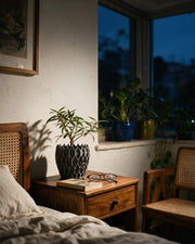 Arcade Lattice Planter – at night on a bedside table