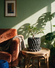 Arcade Lattice Planter – on a side table at golden hour