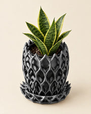 Arcade Lattice Planter – styled in use