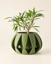 Arrow Facet Planter – three-quarter studio view