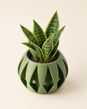 Arrow Facet Planter – styled in use
