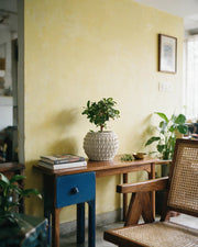 Basket Weave Planter – styled on a console