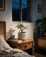 Bubble Knob Planter – at night on a bedside table