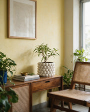 Bubble Knob Planter – styled on a console