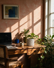 Bubble Knob Planter – on a work desk in morning sun