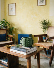 Bubble Row Planter – styled on a console