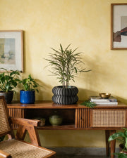 Bubble Tier Planter – styled on a console