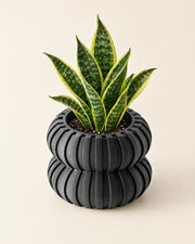 Bubble Tier Planter – styled in use