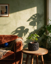 Cell Block Planter – on a side table at golden hour
