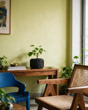 Cell Block Planter – styled on a console