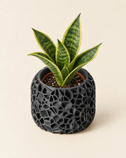 Cell Block Planter – styled in use