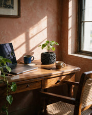 Cell Block Planter – on a work desk in morning sun
