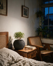 Cell Web Planter – at night on a bedside table