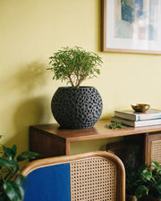 Cell Web Planter – styled on a console