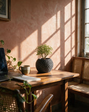 Cell Web Planter – on a work desk in morning sun