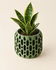 Checker Cut Planter – styled in use