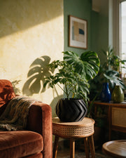 Chevron Bowl Planter – on a side table at golden hour