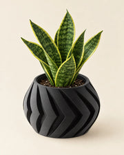 Chevron Bowl Planter – styled in use