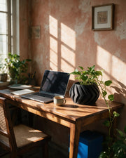 Chevron Bowl Planter – on a work desk in morning sun