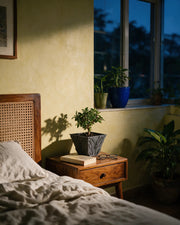 Circuit Relief Planter – at night on a bedside table