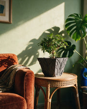 Circuit Relief Planter – on a side table at golden hour