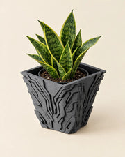 Circuit Relief Planter – styled in use