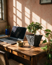 Circuit Relief Planter – on a work desk in morning sun