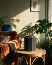 Comb Canister – on a side table at golden hour