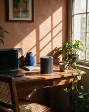 Comb Canister – on a work desk in morning sun