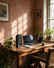 Comb Window Vase – on a work desk in morning sun