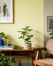 Corrugated Column Planter – styled on a console