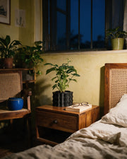 Corrugated Planter – at night on a bedside table