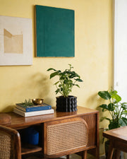 Corrugated Planter – styled on a console