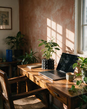 Corrugated Planter – on a work desk in morning sun