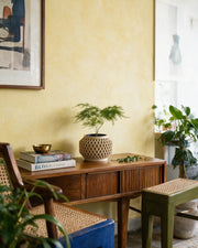 Crosshatch Bulb Planter – styled on a console