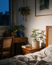 Crosshatch Column Planter – at night on a bedside table
