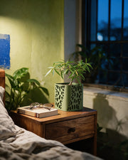 Dash Cut Planter – at night on a bedside table