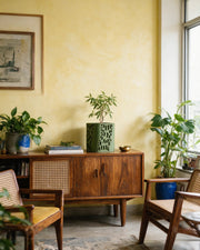 Dash Cut Planter – styled on a console
