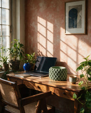 Diamond Basin Planter – on a work desk in morning sun