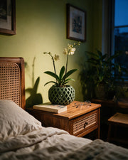 Diamond Drum Orchid Planter – at night on a bedside table