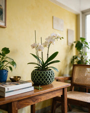 Diamond Drum Orchid Planter – styled on a console