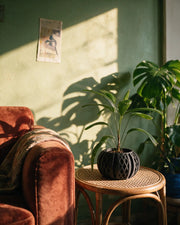 Diamond Fin Planter – on a side table at golden hour