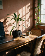 Diamond Fin Planter – on a work desk in morning sun