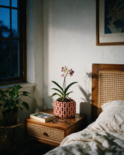 Diamond Lantern Orchid Planter – at night on a bedside table