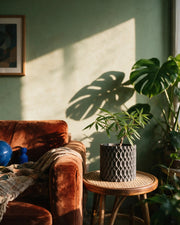 Diamond Mesh Planter – on a side table at golden hour